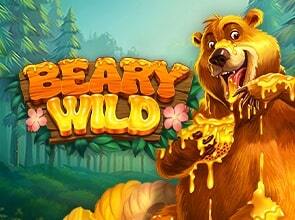 Play Beary Wild