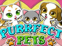 Play Purrfect Pets